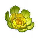 Floración primigenia del oasis